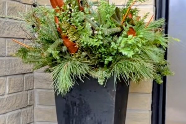 42d6b43c 4395 469b a413 3eea1d117dc2